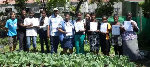 Certificates in urban agriculture